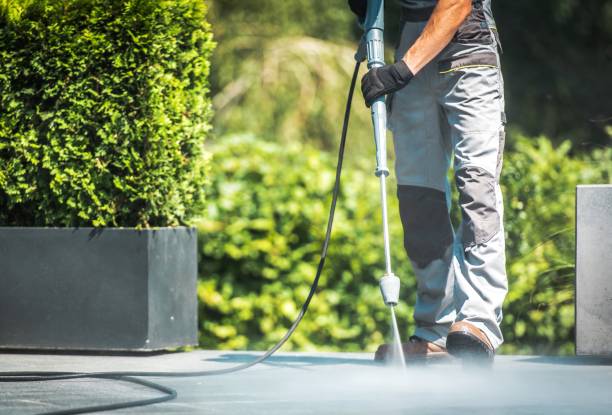 Best Boat and Dock Cleaning  in Coing, AL